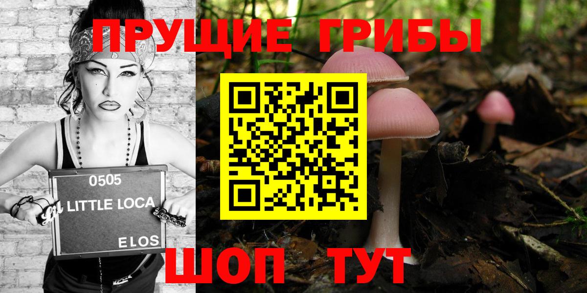 где продают наркотики  Вход с VPN  Печора  Галлюциногенные грибы Psilocybine cubensis 