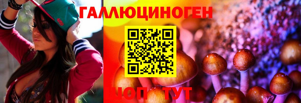 Галлюциногенные грибы ЛСД Печора