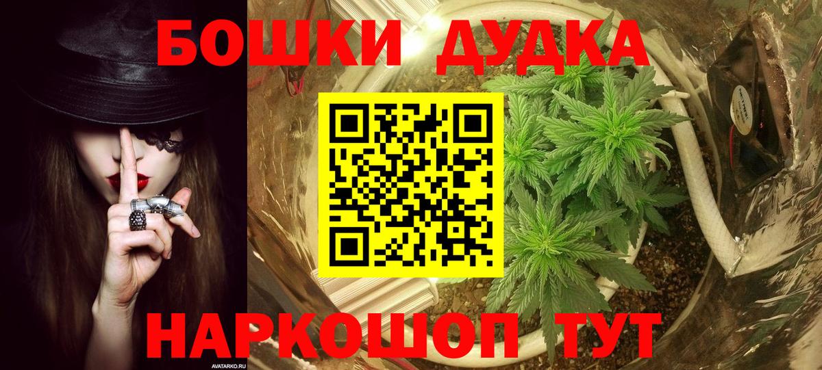 Бошки Шишки марихуана  Вход с VPN  Печора  Конопля план  Каннабис VHQ  Марихуана конопля 